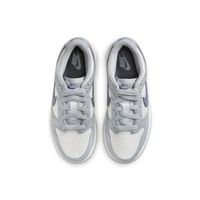 Nike Dunk Low Retro Sneaker In Gray