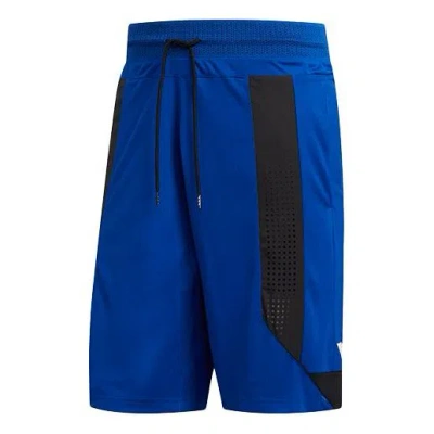 Adidas Originals Adidas C365 Short Colorblock Sports Loose Basketball ...
