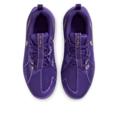 Nike (gs)  Air Zoom Gt Cut 3 'court Purple Ink' In Multi