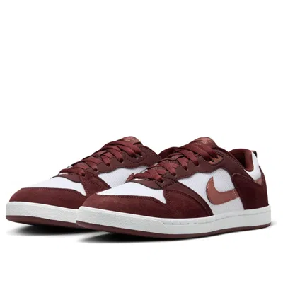 Nike (wmns)  Sb Alleyoop 'mystic Dates Claystone Red'