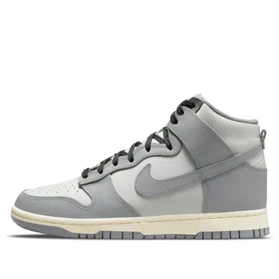 Nike Dunk High Sneakers In Gray