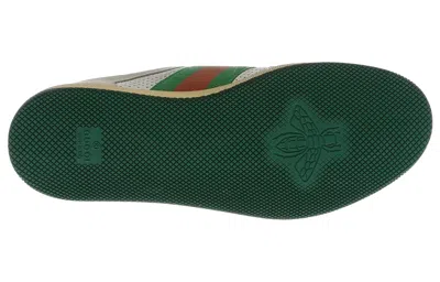 Gucci Screener Distressed 'green Orange' In Neutral