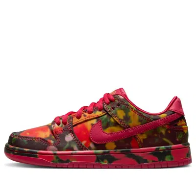 Nike (ps)  Sb Dunk Low 'the Wizard Of Oz' In Multi
