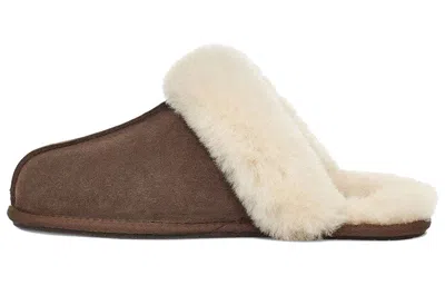 Ugg Scuffette Ii Chocolate Brown Mule Slippers Women In Brown