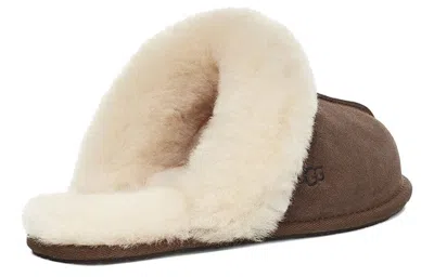 Ugg Scuffette Ii Chocolate Brown Mule Slippers Women In Brown