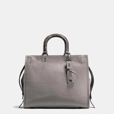 Coach Rogue 36 With Colorblock Snake Detail In : Black Copper/heather Grey