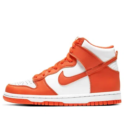 Nike Syracuse Dunk High Pro