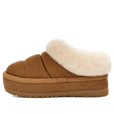 Ugg Chestnut Suede Slides Faux Fur In Multi