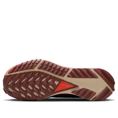 Nike (wmns)  Pegasus Trail 4 Gtx 'diffused Taupe' In Multi