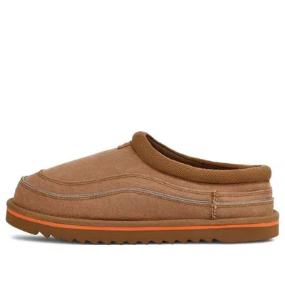 Ugg Tasman Cali Wave 'chestnut Orange Soda'