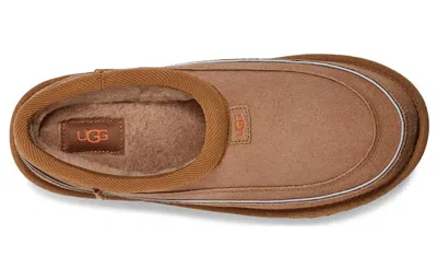 Ugg Tasman Cali Wave 'chestnut Orange Soda'