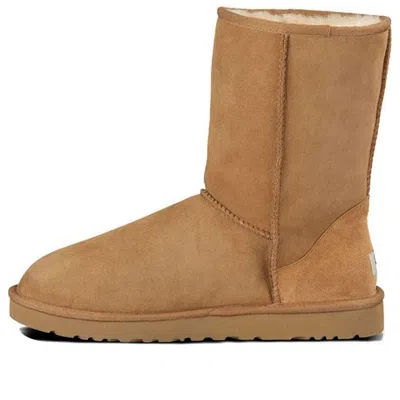 Ugg Classic Short Snow Boots In Brown