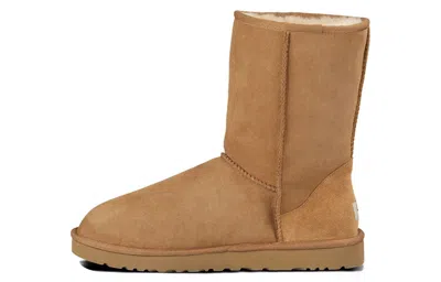 Ugg Classic Short Snow Boots In Brown
