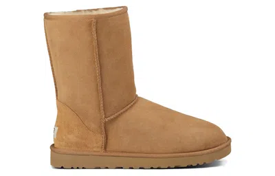 Ugg Classic Short Snow Boots In Brown