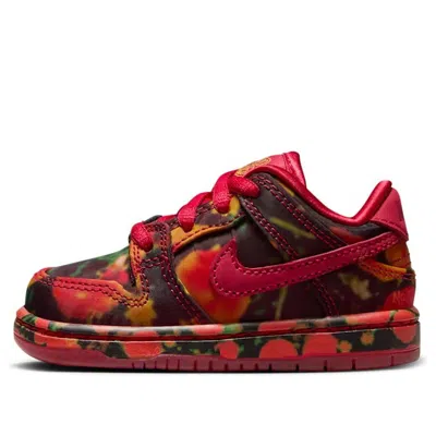 Nike (td)  Sb Dunk Low 'the Wizard Of Oz' In Multi