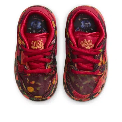 Nike (td)  Sb Dunk Low 'the Wizard Of Oz' In Multi