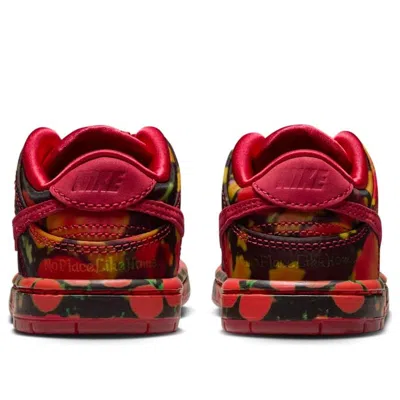 Nike (td)  Sb Dunk Low 'the Wizard Of Oz' In Multi