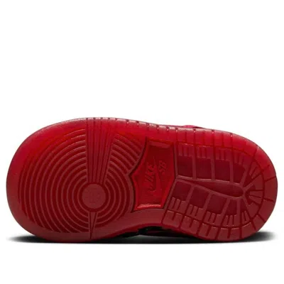 Nike (td)  Sb Dunk Low 'the Wizard Of Oz' In Multi