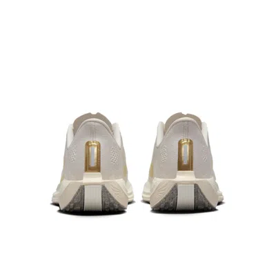 Nike (wmns)  Pegasus Plus 'light Orewood Brown'