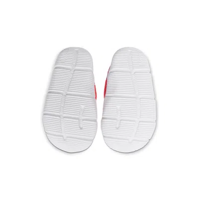 Nike (td)  Novice 'purple Red' In Multi