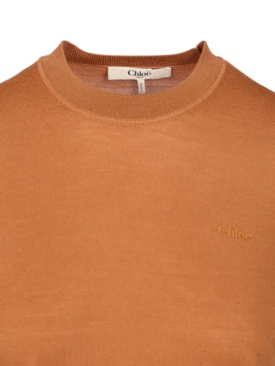 Chloé Crewneck Knitewear Knitwear Brown In Brown