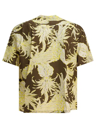 Sun Surf Island Pineapple Shirts Brown In Yellow