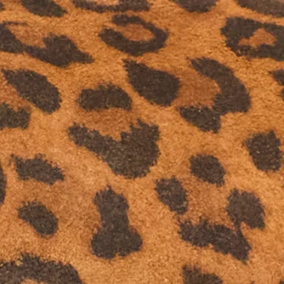 Isabel Marant Leopard Print Slip On Heels