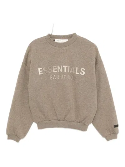 Essentials Fleece Sweatshirt In Brown