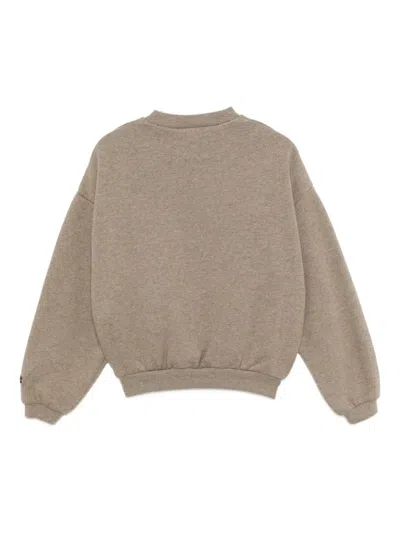 Essentials Fleece Sweatshirt In Brown