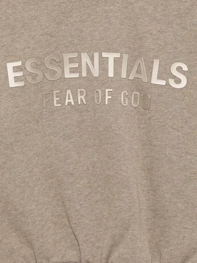 Essentials Fleece Sweatshirt In Brown