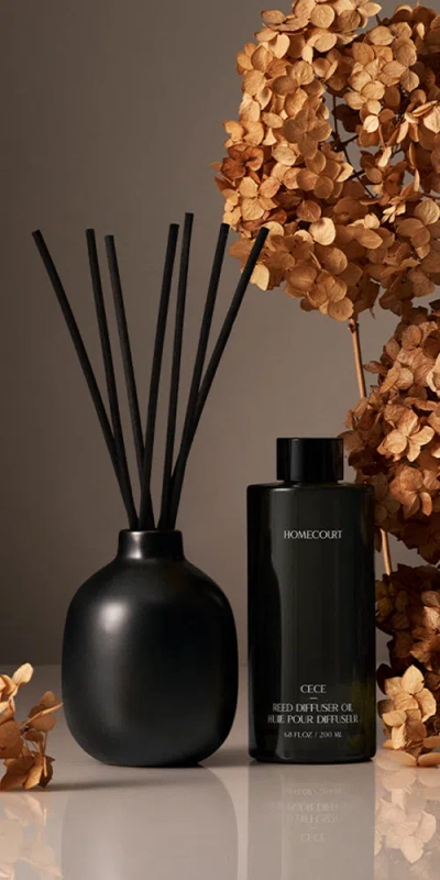 Homecourt Fragrance Reed Diffuser In Multi