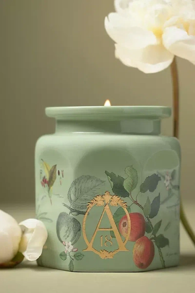 Apothecary 18 By Anthropologie Apothecary 18 Spice Orchard Woods Ceramic Jar Candle In Green