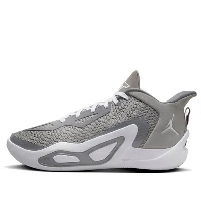 Air Jordan (gs)  Tatum 1 'cool Grey' In Gray