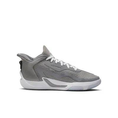 Air Jordan (gs)  Tatum 1 'cool Grey' In Gray