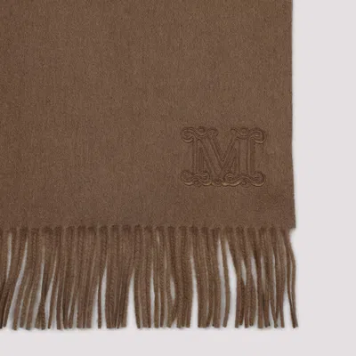 Max Mara Cashmere Dalia Scarf Fringed Hem In Brown