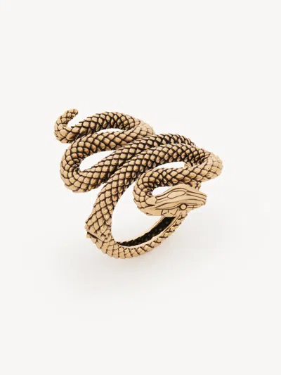 Chloé The  Snake Bracelet In Gold