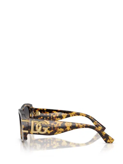 Dolce & Gabbana Dg4501 33302q In Brown