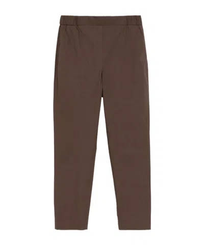 Antonelli Elastic Pleated Casual Pants In Brown
