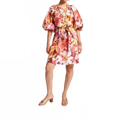 Frances Valentine Bliss Mini Dress In Sun Floral In Multi