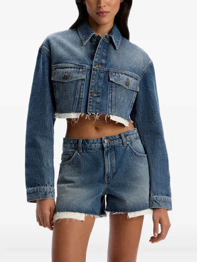 12 Storeez Distressed Denim Shorts