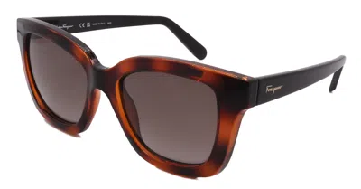 Ferragamo Salvatore  Sunglasses Sfsf955s-214-53-19-140 Non-polarized In Brown