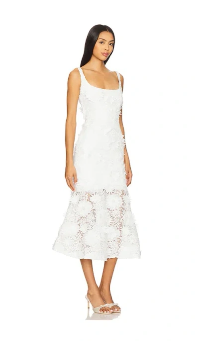 Bardot Marico Lace Midi Dress In Orchid Wht
