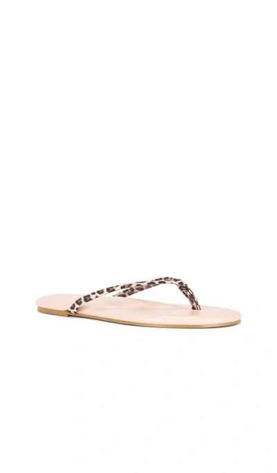 Solei Sea Indie Novelty