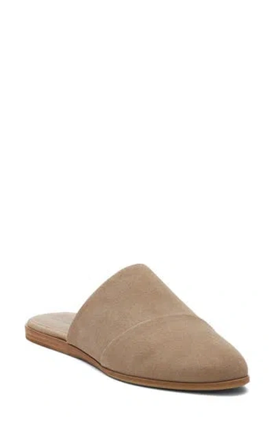 Toms Women's Jade Taupe Suede Slip On Flat In Brown