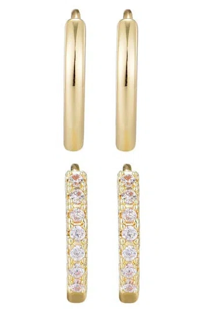 Adornia Set Of 2 Assorted Hoop Earrings