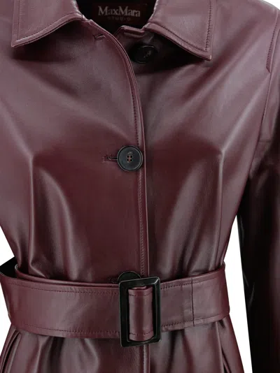 Max Mara Studio Button-up Belted Jacket In Burgundy