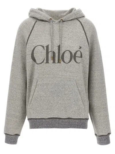 Chloé Hooded Cotton Blend Sweatshirt With Kangaroo Pocket In Gray