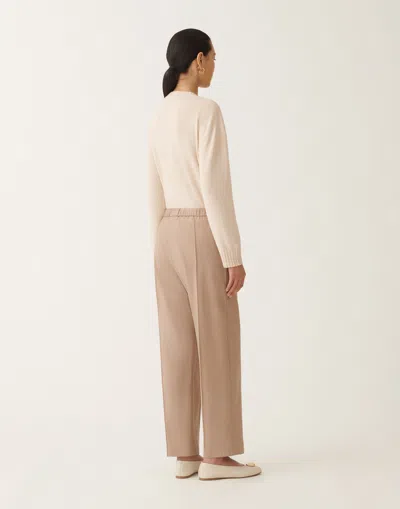 Fabiana Filippi Gubbio Cool Wool Trousers In Brown