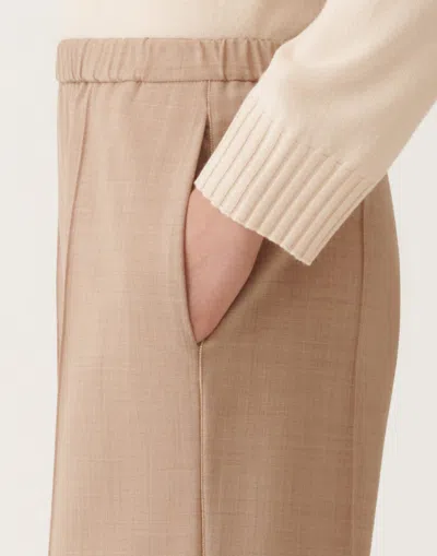 Fabiana Filippi Gubbio Cool Wool Trousers In Brown