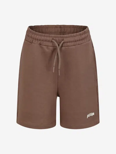 Msgm Logo-print Track Shorts In Brown